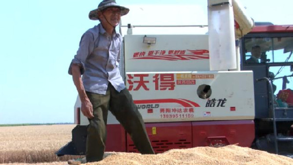 河南麥收新圖景丨保證小麥顆粒歸倉，舞陽提供暖心服務
